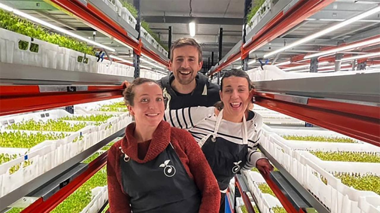 Nice : La Pousseraie lève 1 M€ avec sa ferme verticale de micropousses
