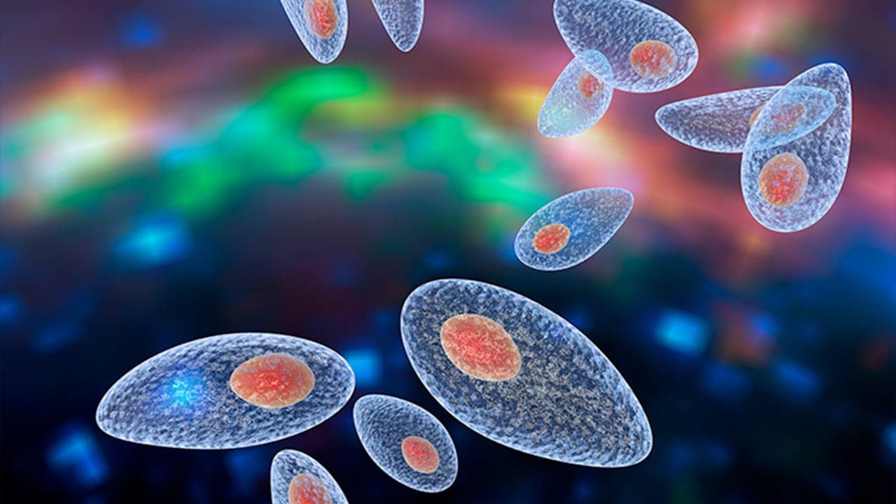Science pour Tous 06 : la médiation scientifique en action
