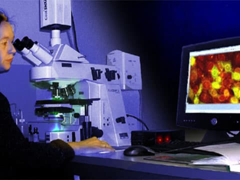 Sophia : la recherche partenariale entreprises-CNRS boostée par le Plan de Relance
