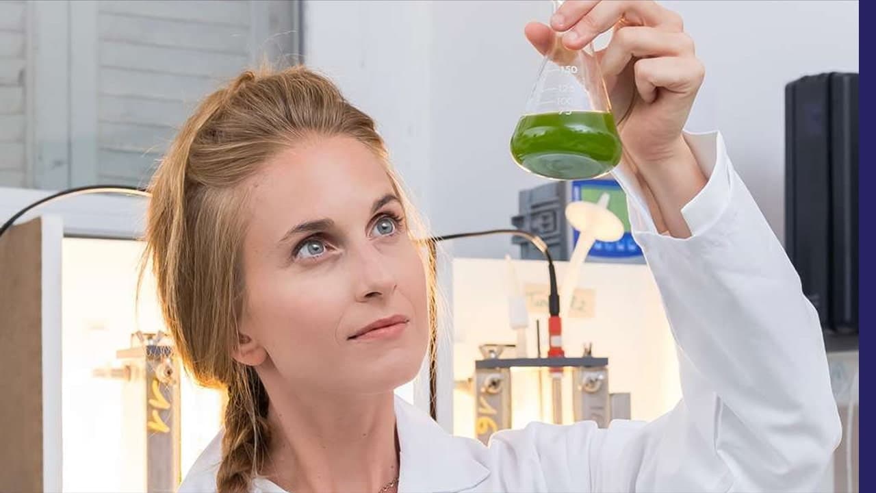 Sophia : Francesca Casagli primée pour ses bioprocédés de purification de l'eau