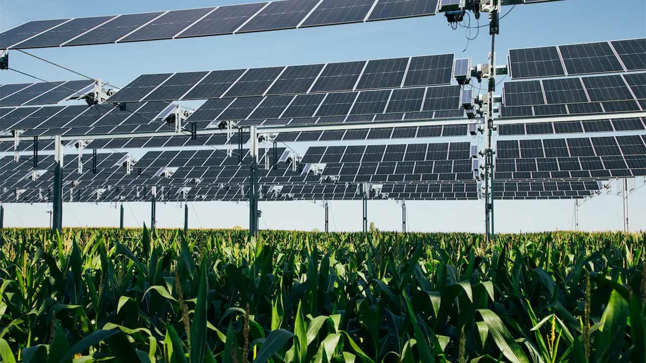 Energie solaire : TSE signe un contrat majeur avec STMicroelectronics