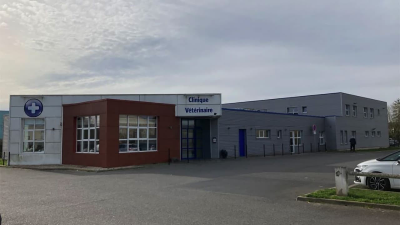 Quatrième acquisition vétérinaire pour Valimmo Reim