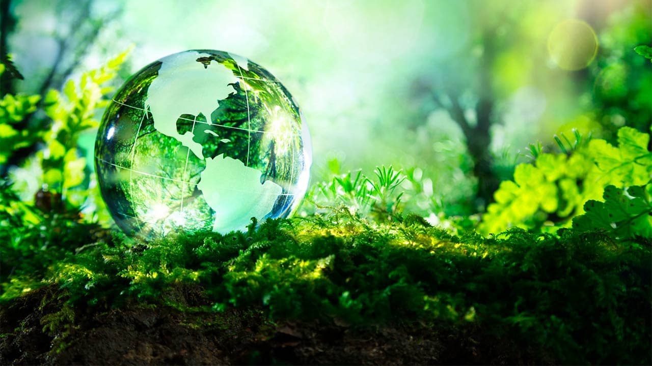 Mycophyto : nouveaux locaux à Grasse Biotech et levée de fonds de 4 M€