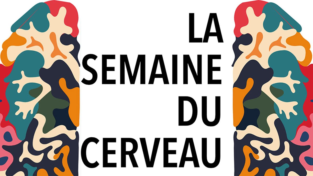 Une Semaine du Cerveau autour des apprentissages