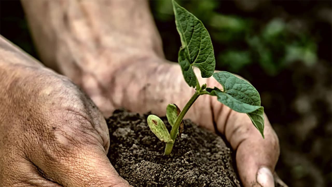 SophiaMag flashe sur la terre et les agritech