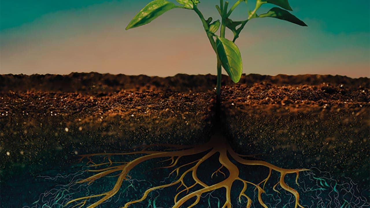 Sophia : Mycophyto boucle une levée de fonds de 16 M€