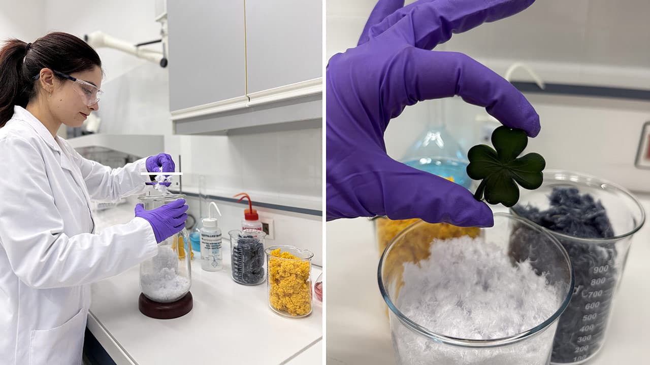 Incubateur Provence Côte d’Azur : six nouveaux incubés à suivre